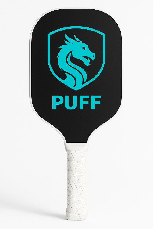 Pickleball paddle with black face, teal logo, and white handle on a white background